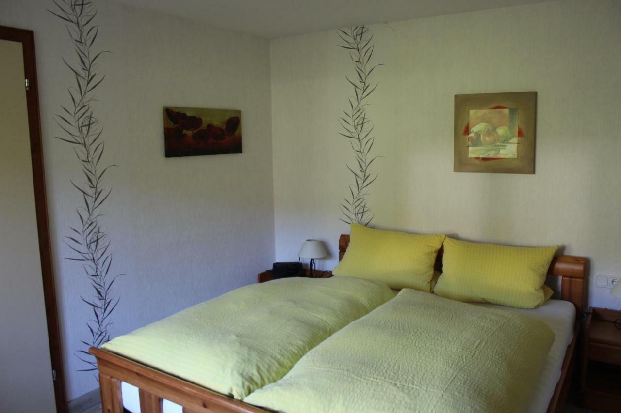 Haus Talblick Villa Шмаленберг Екстериор снимка