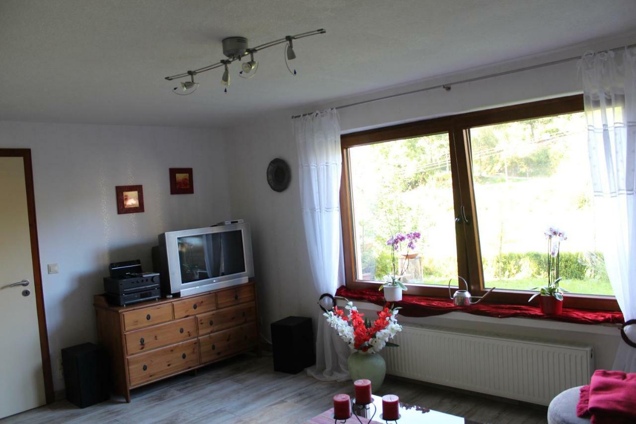 Haus Talblick Villa Шмаленберг Екстериор снимка