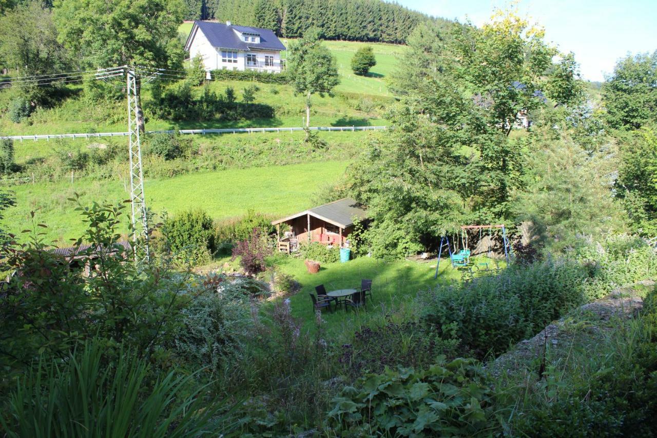 Haus Talblick Villa Шмаленберг Екстериор снимка