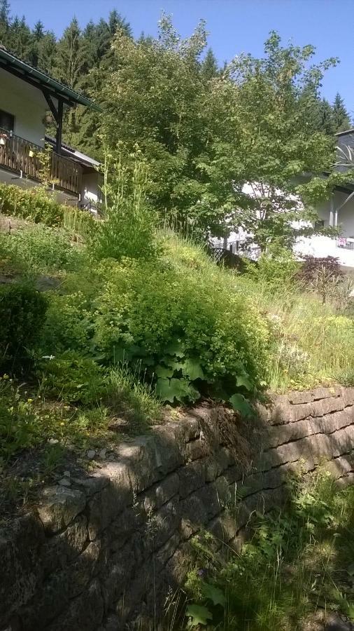 Haus Talblick Villa Шмаленберг Екстериор снимка