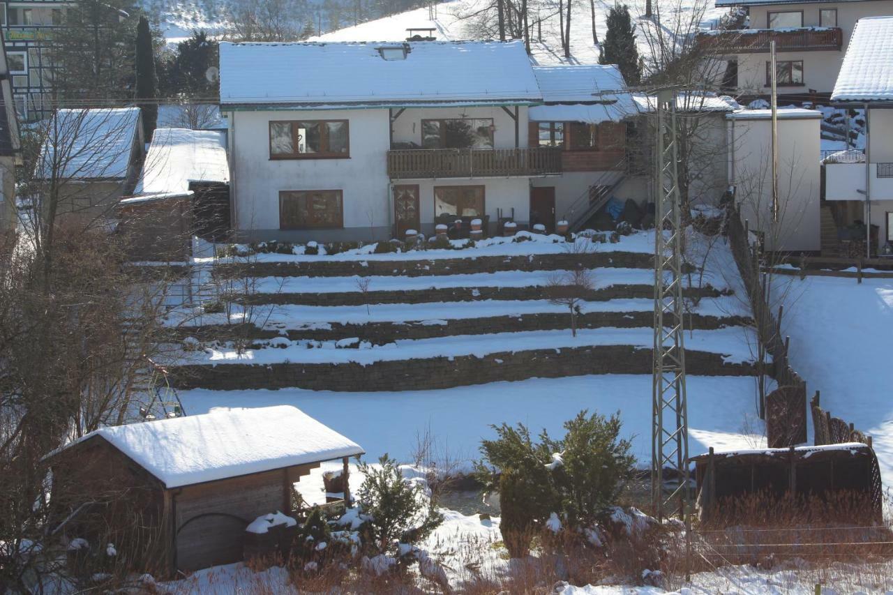 Haus Talblick Villa Шмаленберг Екстериор снимка